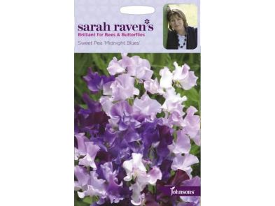 Sweet Pea 'Midnight Blues' Seeds