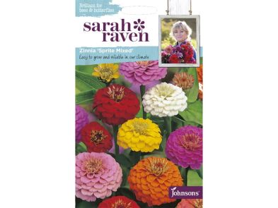 Zinnia 'Sprite Mixed' Seeds