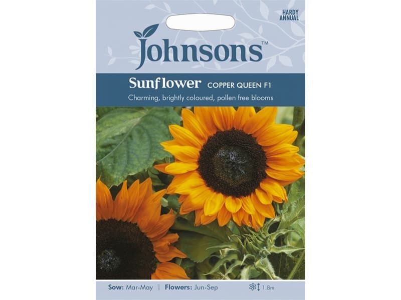 Sunflower 'Copper Queen' F1 Seeds