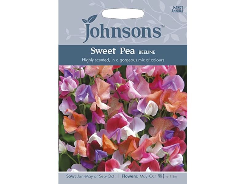 Sweet Pea 'Beeline' Seeds