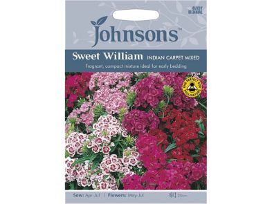 Sweet William 'Indian Carpet Mixed' Seeds