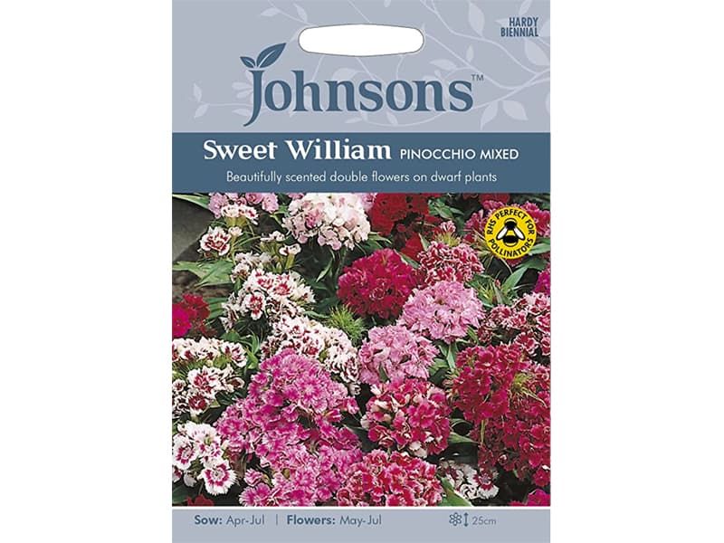 Sweet William 'Pinocchio Mixed' Seeds