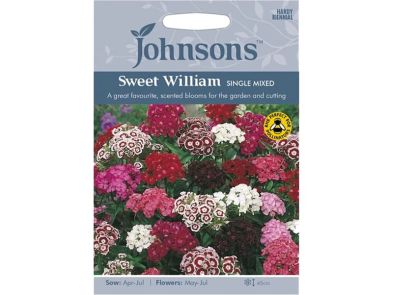 Sweet William 'Single Mixed' Seeds