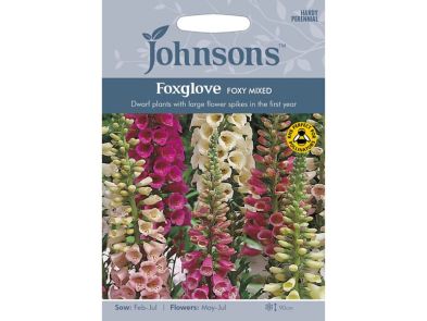 Foxglove 'Foxy Mixed' Seeds