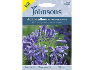 Agapanthus 'Headbourne Hybrids' Seeds