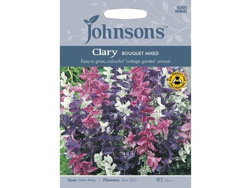 Clary 'Bouquet Mixed' Seeds