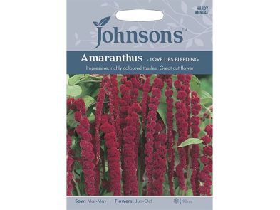 Amaranthus 'Love Lies Bleeding' Seeds