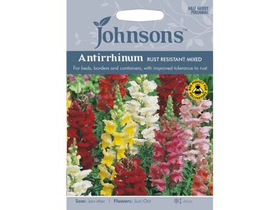 Antirrhinum 'Rust Resistant Mixed' Seeds