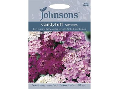 Candytuft 'Fairy Mixed' Seeds