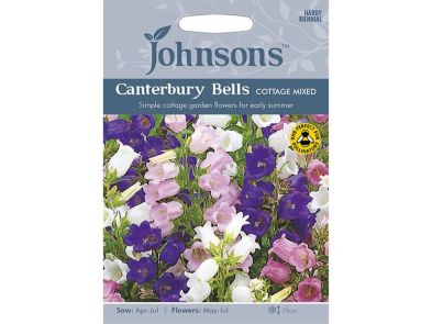 Campanula medium (Canterbury Bells) 'Cottage Mixed' Seeds