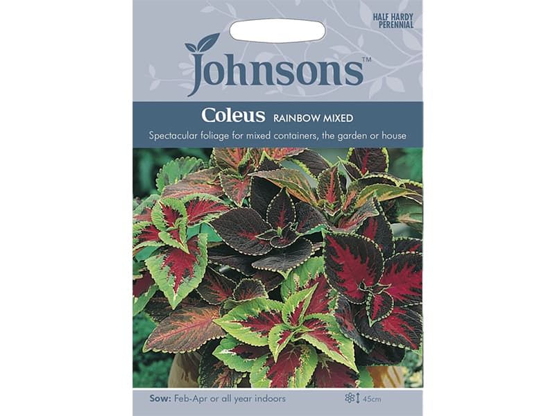 Coleus 'Rainbow Mixed' Seeds