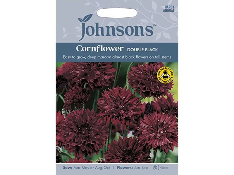 Cornflower 'Double Black' Seeds