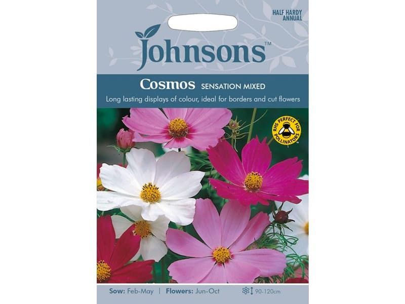 Cosmos 'Sensation Mixed' Seeds