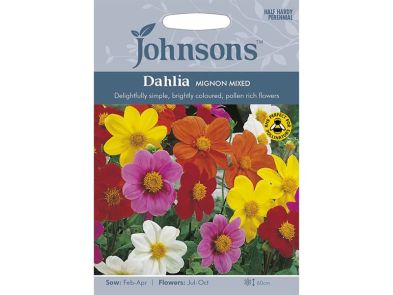 Dahlia 'Magnon Mixed' Seeds