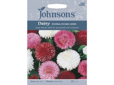 Daisy 'Enorma Double Mixed' Seeds