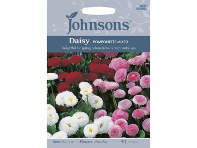 Daisy 'Pomponette Mixed' Seeds