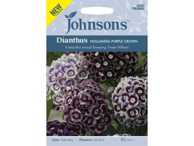 Sweet William 'Hollandia Purple Crown' Seeds