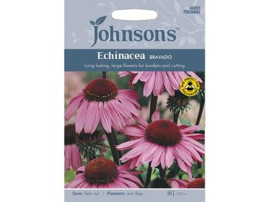 Echinacea 'Bravado' Seeds