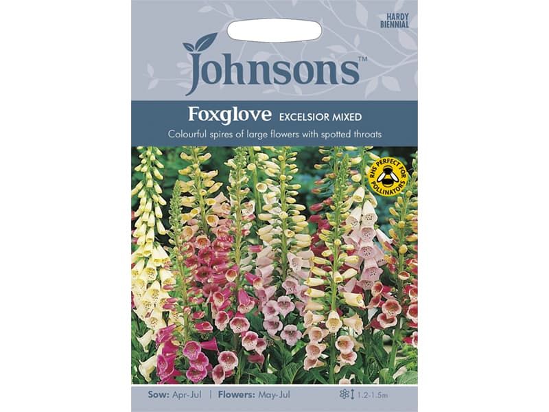 Foxglove 'Excelsior Mixed' Seeds