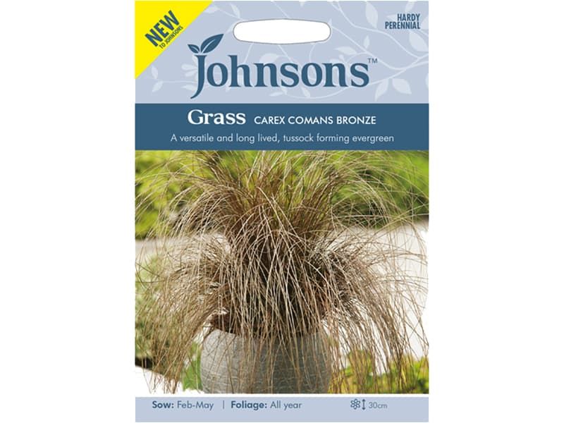 Carex comans 'Bronze' Seeds