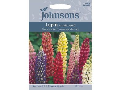 Lupin 'Russell Mixed' Seeds