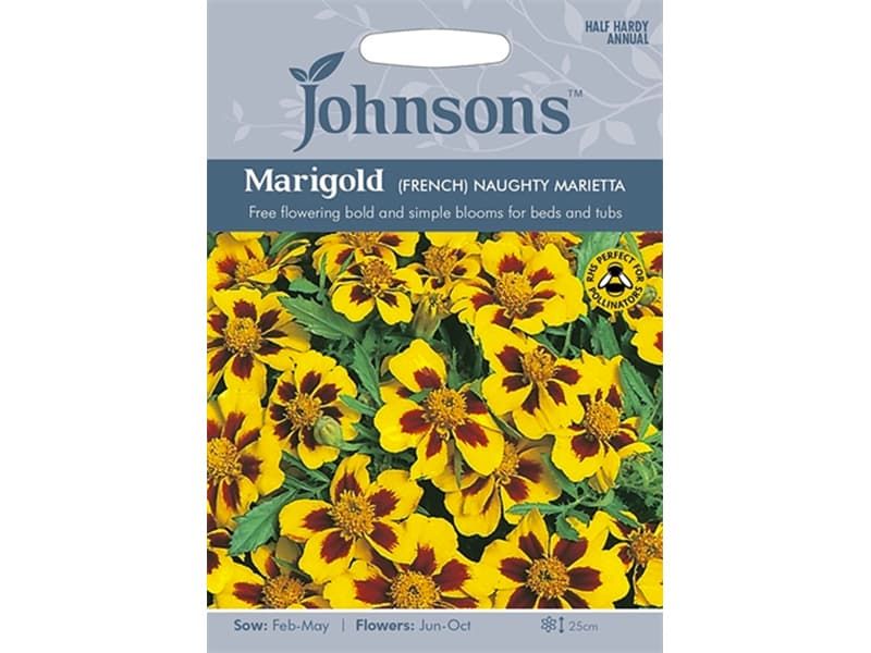 Marigold (French) 'Naughty Marietta' Seeds