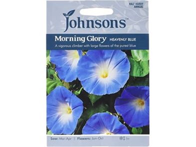 Ipomoea purpurea (Morning Glory) 'Heavenly Blue' Seeds