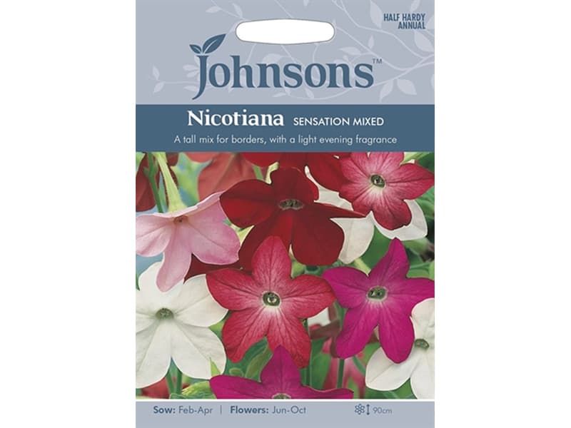 Nicotiana 'Sensation Mixed' Seeds