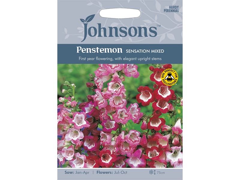 Penstemon 'Sensation Mixed' Seeds