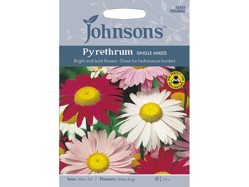 Tanacetum coccineum (Pyrethrum) 'Single Mixed' Seeds