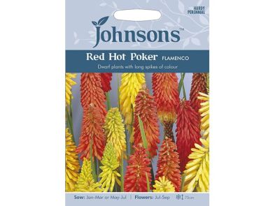 Kniphofia (Red Hot Poker) 'Flamenco' Seeds