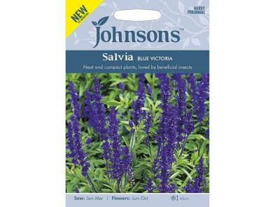 Salvia farinacea 'Blue Victoria' Seeds