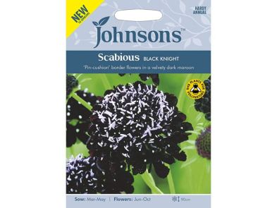 Scabious 'Black Knight' Seeds