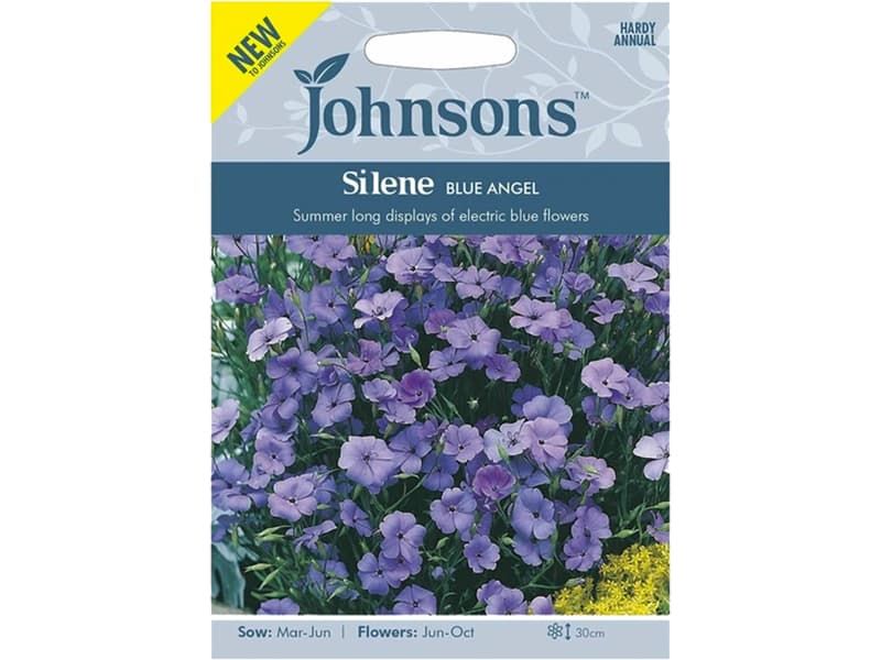 Silene 'Blue Angel' Seeds