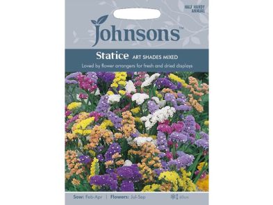 Limonium sinuatum (Statice) 'Art Shades Mixed' Seeds