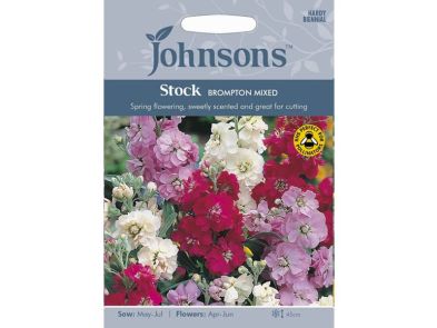 Stock 'Brompton Mixed' Seeds