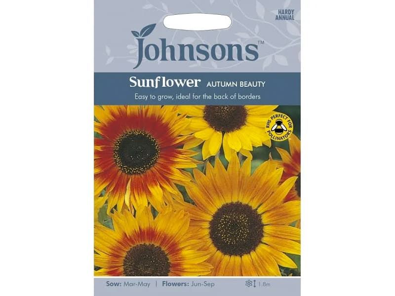 Sunflower 'Autumn Beauty' Seeds