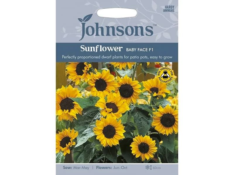 Sunflower 'Baby Face' F1 Seeds