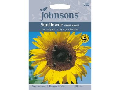 Sunflower 'Giant Single' Seeds