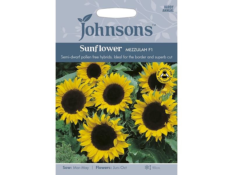 Sunflower 'Mezzulah' F1 Seeds