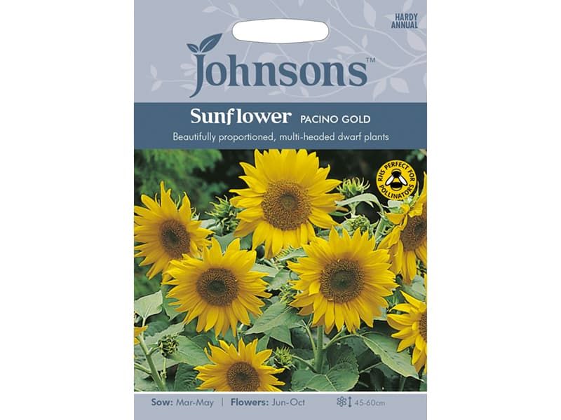 Sunflower 'Pacino Gold' Seeds