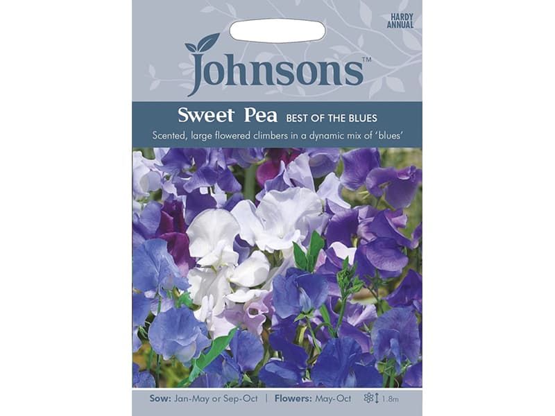 Sweet Pea 'Best of the Blues' Seeds