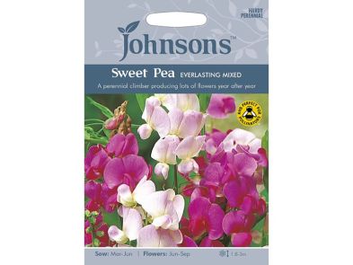 Sweet Pea 'Everlasting Mixed' Seeds