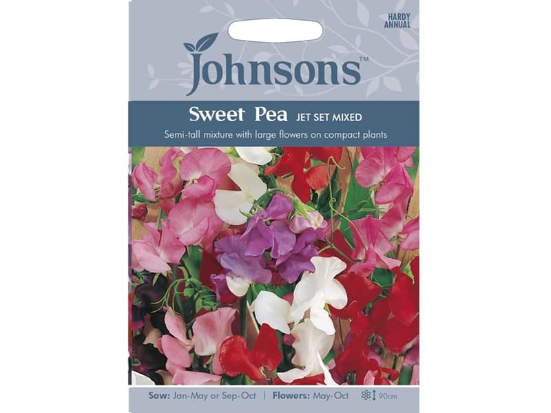 Sweet Pea 'Jet Set Mixed' Seeds