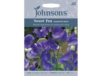 Sweet Pea 'Mammoth Blue' Seeds