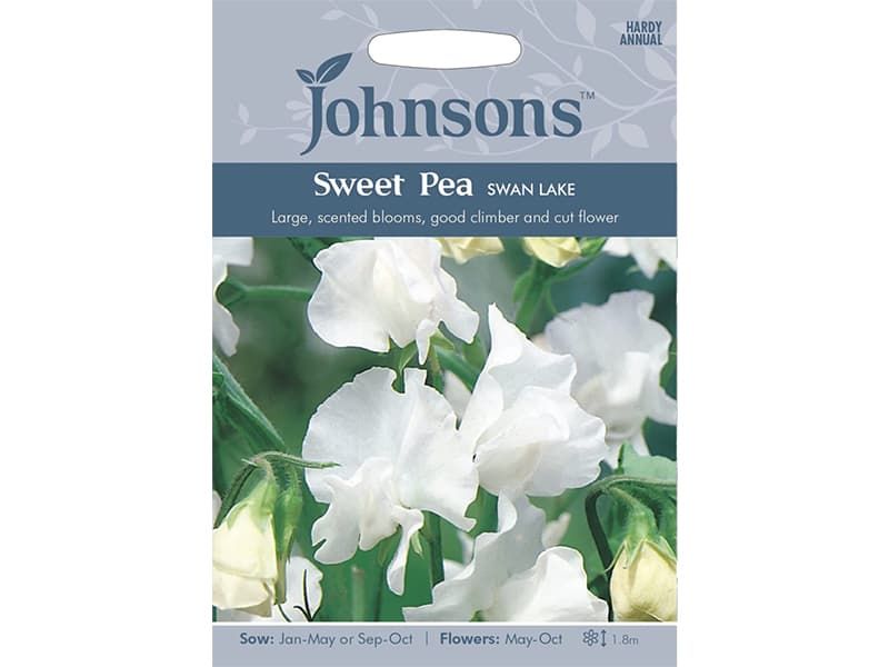 Sweet Pea 'Swan Lake' Seeds