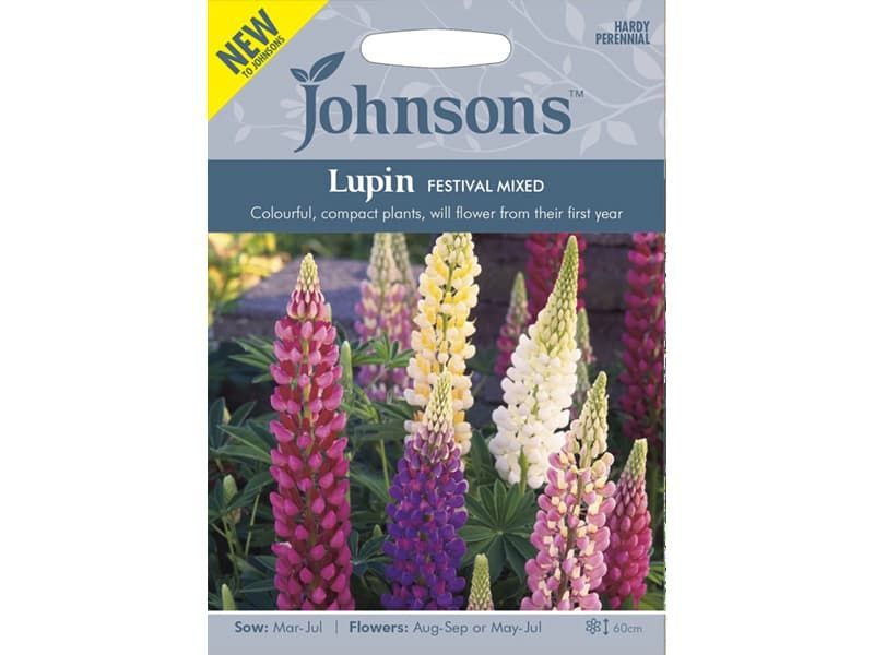 Lupin 'Festival Mixed' Seeds