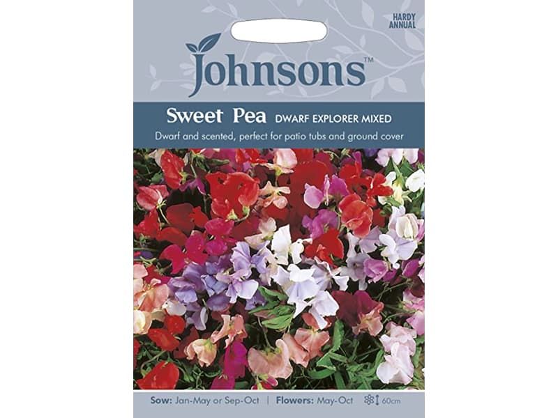 Sweet Pea 'Dwarf Explorer Mixed' Seeds