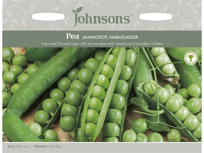 Pea 'Ambassador' Seeds