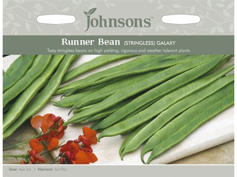 Runner Bean 'Galaxy' Seeds